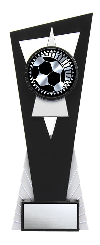 (image for) Solar Soccer Silver - 9"